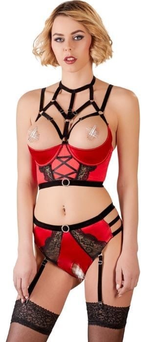 Комплект Abierta Fina Bustier with Waist-High Briefs бюстгальтер и трусики с пажами - Изображение 2