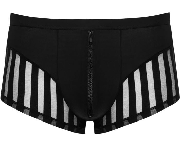 Чоловічі труси Svenjoyment Stripe Pants - Зображення 5