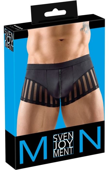 Чоловічі труси Svenjoyment Stripe Pants - Зображення 7