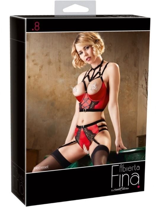 Комплект Abierta Fina Bustier with Waist-High Briefs бюстгальтер и трусики с пажами - Изображение 11