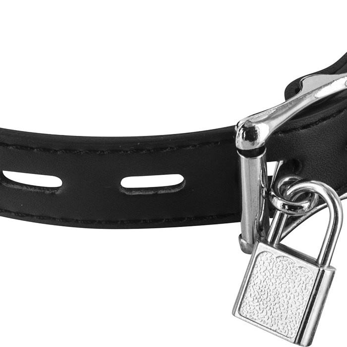Кляп з фалосом Fetish Tentation Penis Gag T1 - Зображення 3