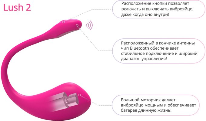 Полный обзор Lovense Lush