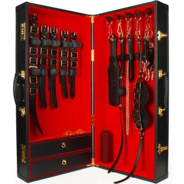 Елітний набір для БДСМ у кейсі Desires Masterpiece Case від Taboom